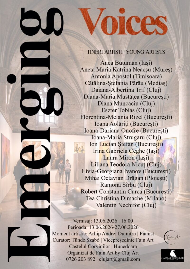 expozitie, cluj art, castelul corvinilor, vernisaj